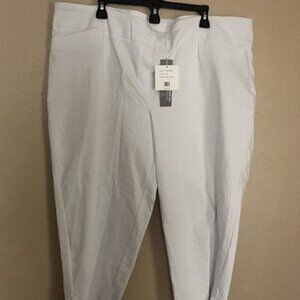 ZAC and Rachel Pants Size: 24 Wide #7614